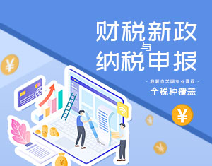 財稅新政與納稅申報教程