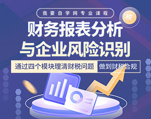 財務(wù)報表分析與企業(yè)風險識別課程