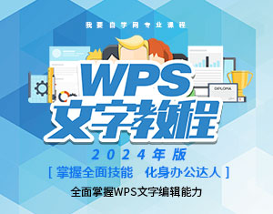WPS文字教程（2024年版） 