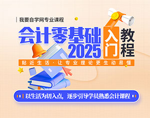 會計零基礎(chǔ)入門教程2025