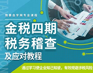 金稅四期稅務(wù)稽查及應(yīng)對教程
