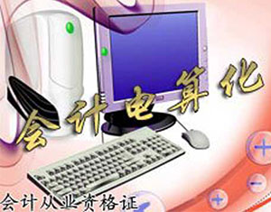 會計電算化（舊版）