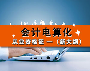 初級會計電算化（2017新大綱）