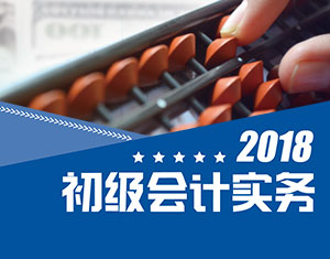 初級會計實務(wù)（2018大綱）