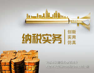納稅實務(wù)視頻教程