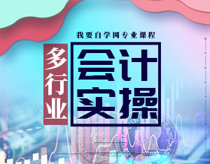 多行業(yè)會計實操課程