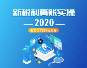 新稅制真賬實操課程2020